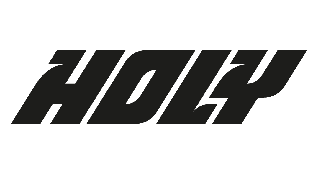 logo holy